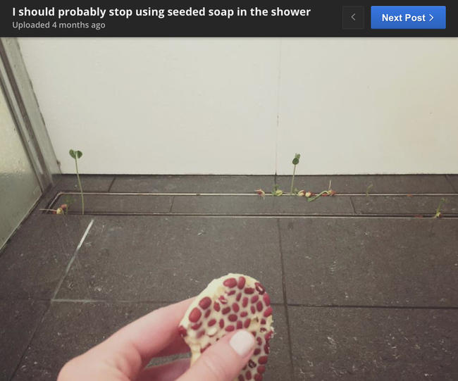 lush-massage-bar-plants-shower